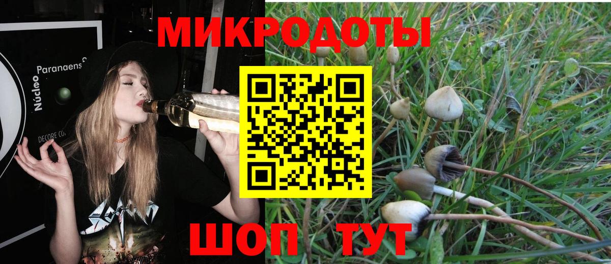 Псилоцибиновые грибы Psilocybine cubensis  Вход с VPN  Сегежа 